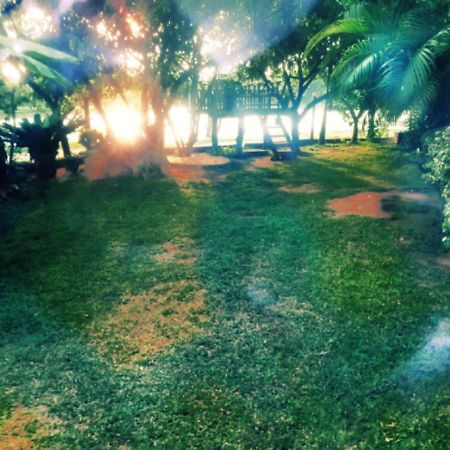 Lake View Dambulla Exterior photo