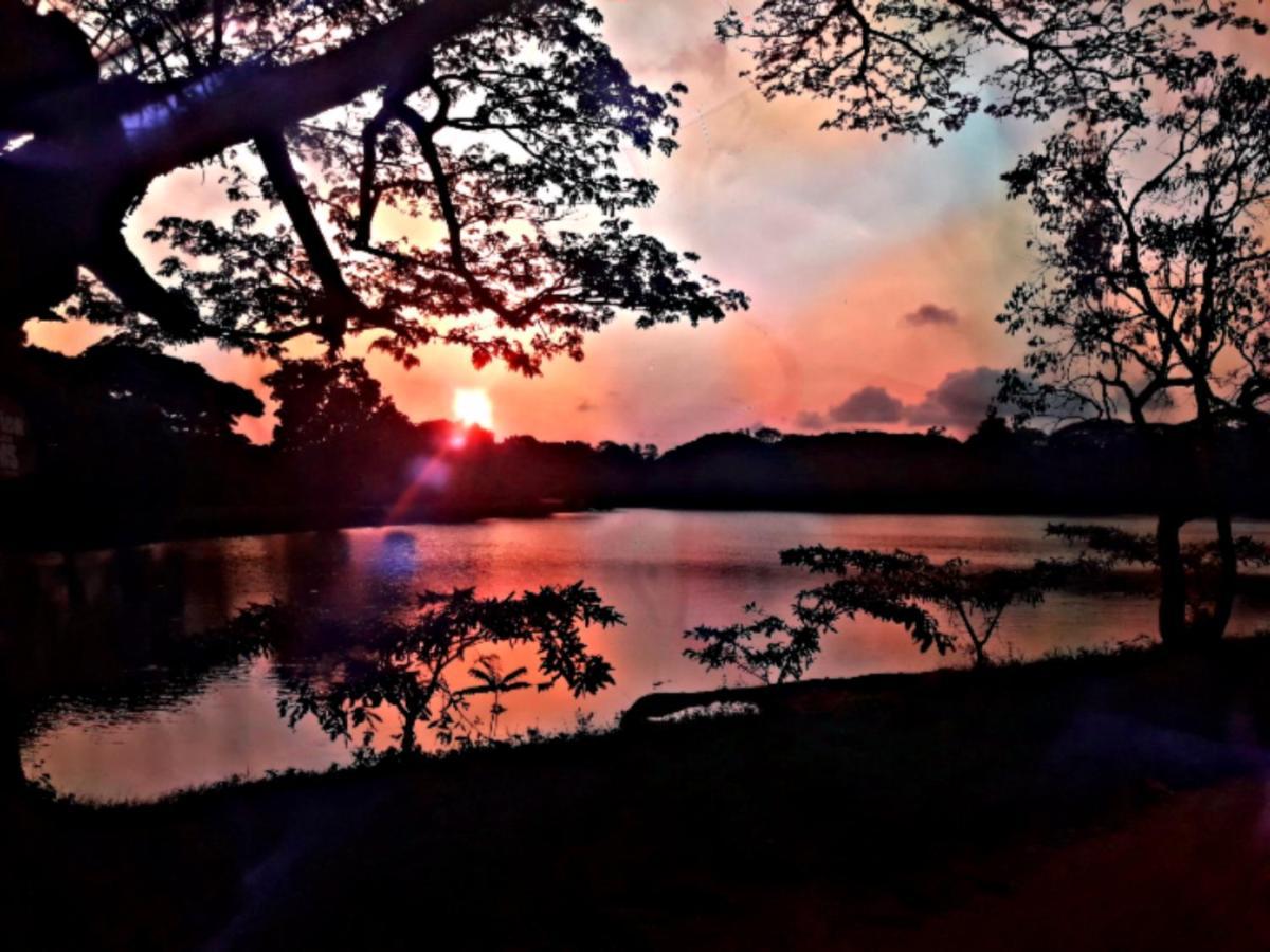 Lake View Dambulla Exterior photo