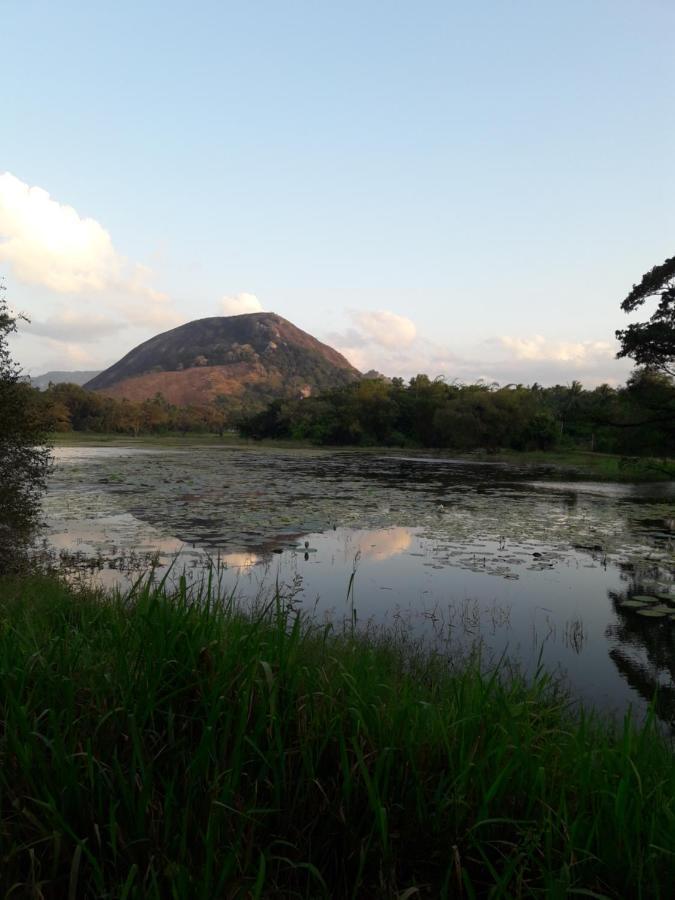 Lake View Dambulla Exterior photo