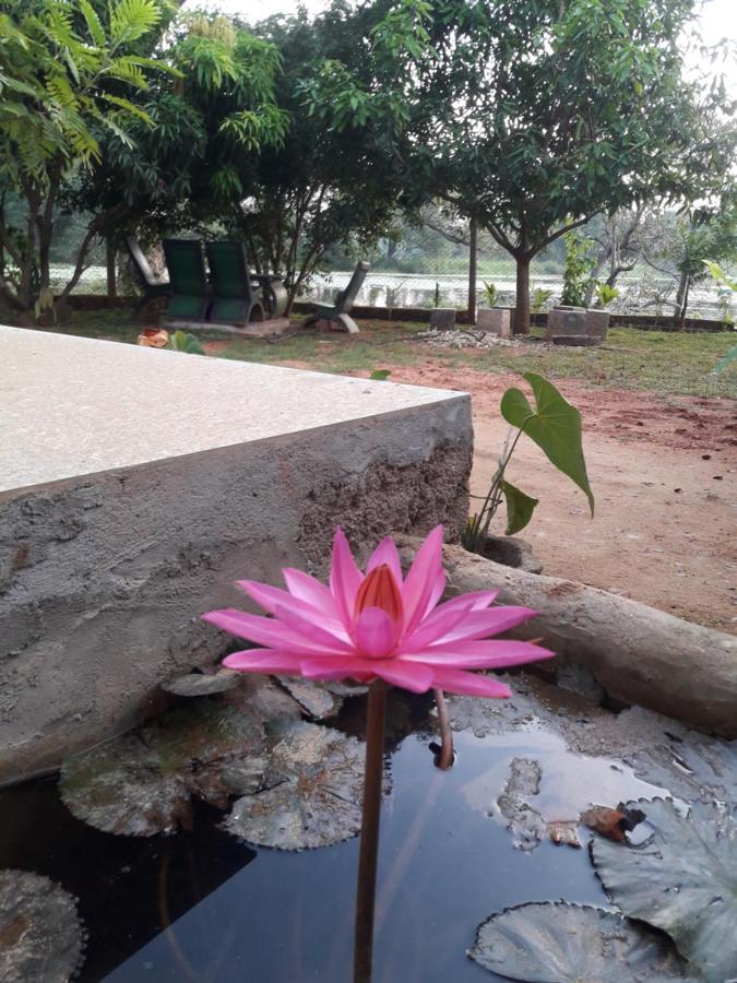 Lake View Dambulla Exterior photo
